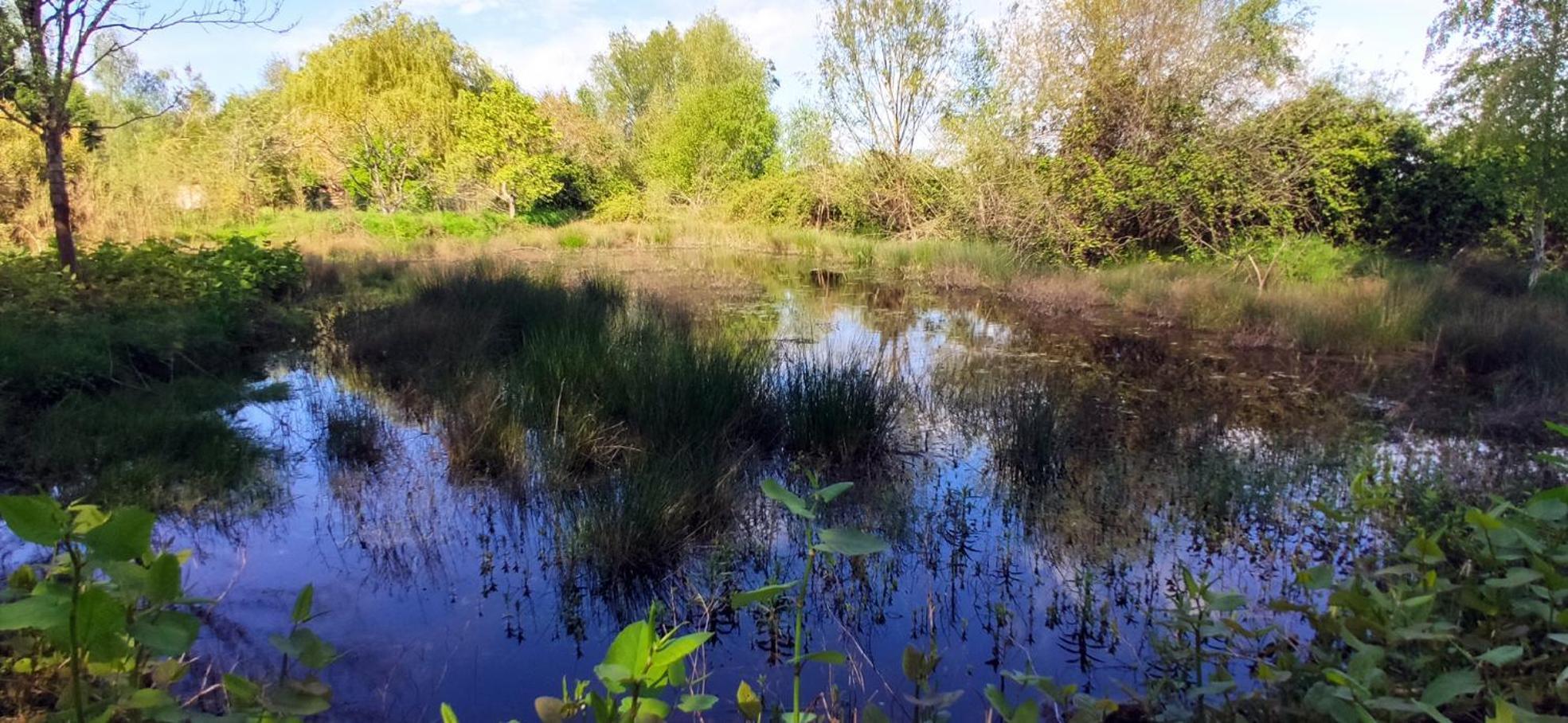 Gite Du Bois Richer 4 Etoiles Avec Piscine Fougere  Exteriér fotografie